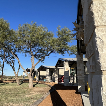 cabins3
